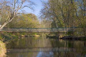 swinging bridge